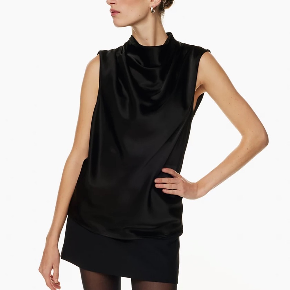 Aritzia Carter Blouse